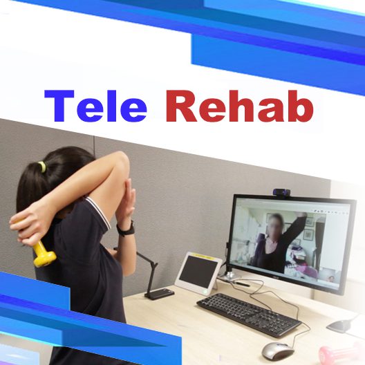 105 Gibson Centre - Tele Rehab Service